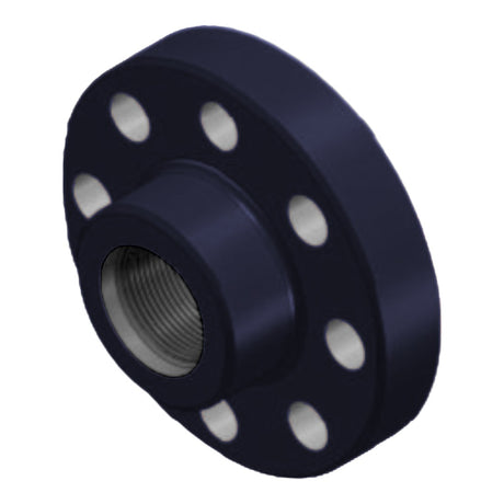 Companion Flange