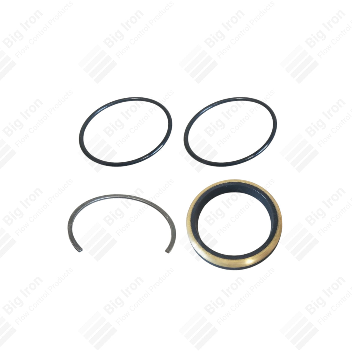 Swivel Joint Repair Kit, ANSON, 2" 1502, STD Service, NOE